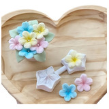 Molde De Silicone Flores