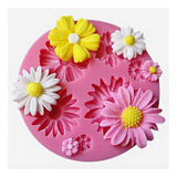 Molde De Silicone Para