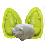 Molde Forma Abs Cofrinho