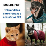 Molde Pdf Pet Roupas