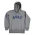 Moletom Aeropostale Teen Fechado Capuz Aero Nyc Flag Cinza