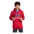 Moletom Aeropostale Teen Fechado Capuz Aero Nyc Vermelho