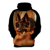 Moletom Casaco Cachorros De