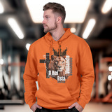 Moleton Leao Flanelado Blusa