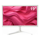 Monitor 19 Hd
