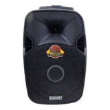 Monitor De Palco Ecopower Ep s700 Portátil Com Bluetooth Waterproof Preto 110v 220v