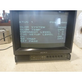 Monitor De Video Colorido
