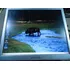 Monitor Lcd 19 Quadrado Diversas Marcas