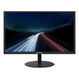 Monitor Led 20 Polegadas