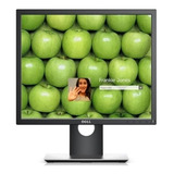 Monitor Profissional Led Ips