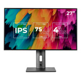 Monitor Profissional Pichau Perseus