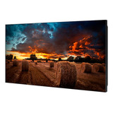 Monitor Profissional Samsung 46