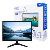 Monitor Tela 19 