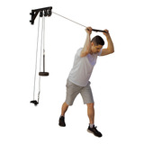 Treino