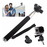 Monopod Bastao P