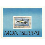 Montserrat Golfinho