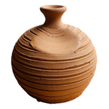 Moringa De Orquidêa