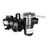Moto Bomba C Pré Filtro Nbfc 1 1 3 Cv Mono Nautilus