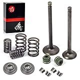 MOTO1988 Kit De Molas De Vedação Da Válvula De Escape Da Válvula De Admissão Do Motor Para Honda XR100 XR75 XR80 XR80R XR100R CRF80F CRF100F NSF100 XL100S XL75 XL80S