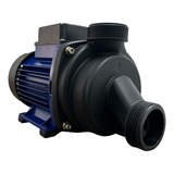 Motobomba Banheira De Hidromassagem 1cv 220v Claw