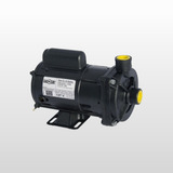Motobomba Centrifuga 1 2cv Trifasico Cp 4r Selo Buna Dancor