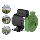 Motobomba Centrifuga Agua Limpa