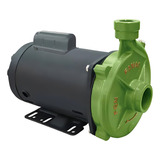 Motobomba Centrifuga Agua Limpa