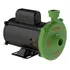 Motobomba Centrífuga Água Limpa Fgn-2 3cv 164mm Weg Famac Cor Verde Fase Elétrica Monofásica Frequência 60 110v/220v