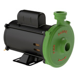 Motobomba Centrifuga Agua Limpa