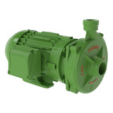 Motobomba Centrifuga Fgn 1