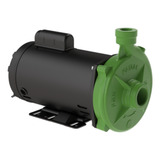 Motobomba Centrifuga Fgn 2