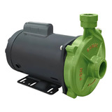 Motobomba Centrifuga Fgn 2