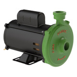 Motobomba Centrifuga Fgn 2