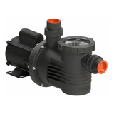 Motobomba Centrifuga Pré Filtro Piscina Dancor Pf 17 1 3 Cv