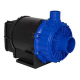 Motobomba Hidromassagem 1 5 Cv 220v Super Alta Vazão Syllent