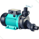 Motobomba Hidromassagem Lepono 1 0 Cv 220v P Banheira E Spa