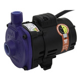 Motobomba Ksb Hydrobloc Cn C1000nt Trifásica 1cv 220 380v