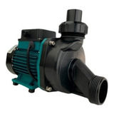 Motobomba Para Banheira Hidromassagem 1 5 Cv Lepono 110 220v