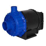 Motobomba Para Piscina Alta Vazão Syllent 2 Cv 110v 220v 220v