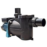 Motobomba Para Piscina Até 22 Mil Litros 1 4cv 220v Lepono