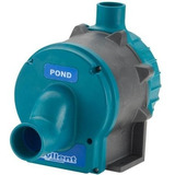Longo