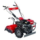Motocultivador Tratorito Granja Para Cama De Aviário Tratorito BTTG6 5 Enxadas Duplo Ciclo Para Dtrituração Do Substracto