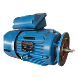 Motofreio Trif  Weg W22 Premium 2cv 220 380v Ipw55 6p Din
