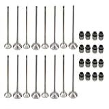 MOTOKU Kit De Válvulas De Escape De Admissão De Motor 16 Peças Para Audi A3 A4 A5 A6 A8 Allroad Q5 RS7 S6 S7 S8 TT RS TTS Quattro VW CC Eos GTI Jetta Passat Tiguan 2 0