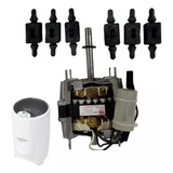 Motor 6 Coxim P Centrífuga 220v Colormaq Original