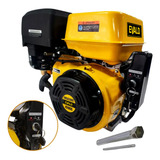 Motor A Gasolina Evald