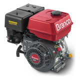 Motor A Gasolina 4t 420cc 15hp P Manual B4t 15 0h Branco