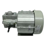 Motor Basculante Gatter 1 4 Avulso Peccinin Gatter 220v