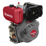 Motor Diesel 13 0cv Partida Manual Bd 13 0 Branco