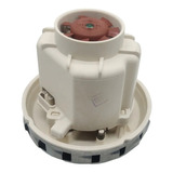 Motor Domel Lavor 220v